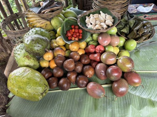우붓 부아한 공동체 농장에서 수확한 다양한 과일들. 김은형 선임기자