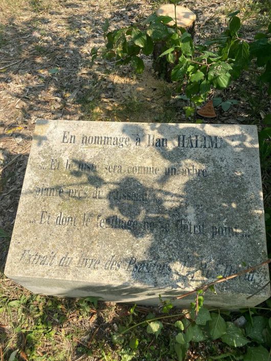 일랑 알리미를 기리기 위해 세워진 표지석 위쪽으로 잘려진 올리브나무 밑둥이 보인다. 출처 에피네쉬르센 페이스북 페이지