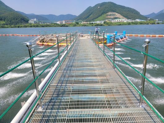 경남 양신시 물금취수장에 발생한 녹조를 제거하기 위해 물을 뿌리고 있다. 부산시상수도사업본부 제공