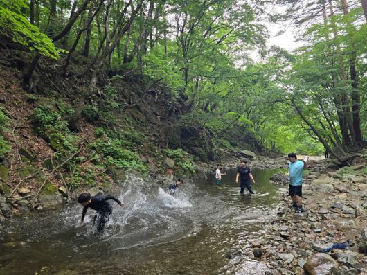 계곡에서 물놀이를 하는 아이들. 박준형 제공