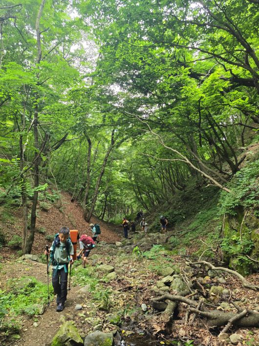 휴대전화 신호가 잡히지 않는 인제천리길을 오르는 산행팀. 박준형 제공
