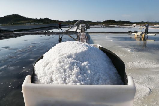 태평염전의 소금. 박미향 기자