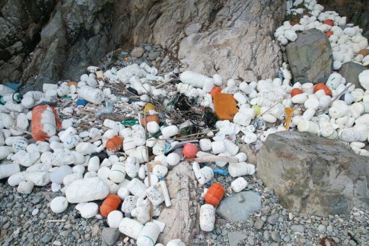 경남 통영시 욕지도. 파도에 떠밀려온 스티로폼 부표 등 해양 쓰레기가 바위틈에 가득 쌓여 있다. 녹색연합 제공