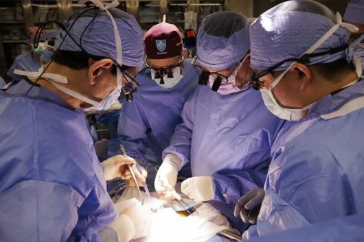 미국 보스턴 매사추세츠종합병원 의료진이 돼지 신장 이식 수술을 하고 있는 모습. 매사추세츠종합병원 제공