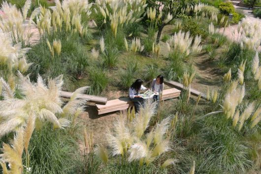 천리포수목원 어린이정원에 가득 핀 팜파스그라스 사이에서 탐방객이 쉬고 있다. 천리포수목원 제공
