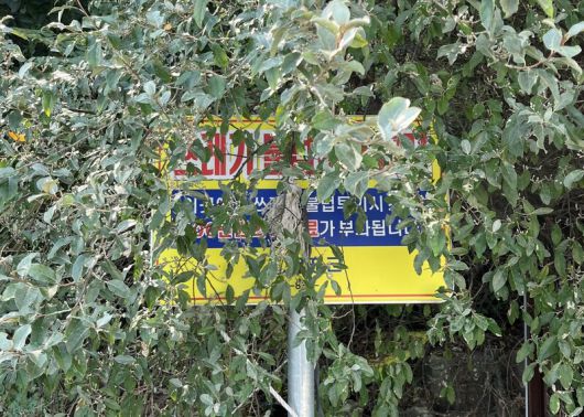 고흥군이 백일리 항구에 설치한 경고판. 주변 수풀이 제대로 관리되지 않아 문구가 대부분 가려진 모습이다. 녹색연합 해양환경기록단