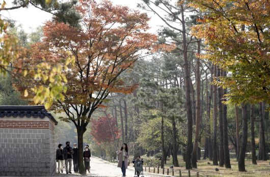 서울 종로구 경복궁 일대. 김혜윤 기자