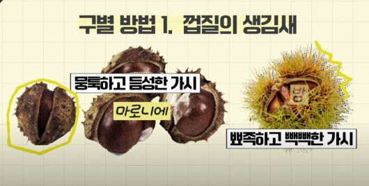 식품의약품안전처 유튜브 갈무리.