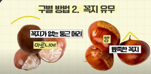 식품의약품안전처 유튜브 갈무리.