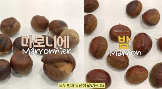 식품의약품안전처 유튜브 갈무리.