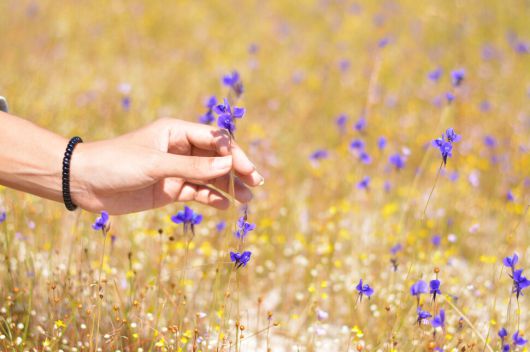 클립아트코리아