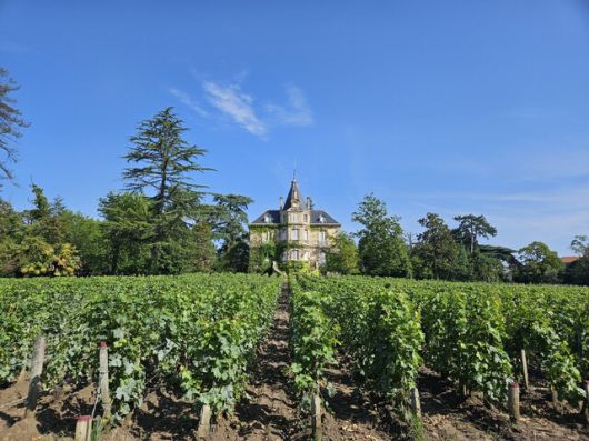 보르도 그라브 지역의 ‘그랑 크뤼’ 등급 와인 생산자, ‘샤토 레 카름 오브리옹’(Château Les Carmes Haut Brion). 내부의 저택과 포도원 모습. 천호성 기자