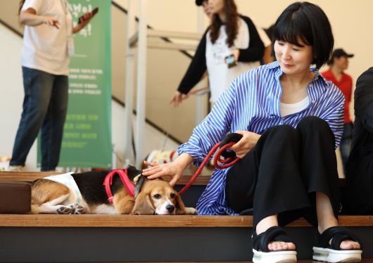 제2회 실험 비글 입양제가 열린 11일 오후 서울 중구의 행사장에서 보호자가 실험 비글 모카를 쓰다듬고 있다. 모카는 3개월의 입양 숙려 기간을 거친 뒤 정식으로 반려견이 될 예정이다. 김영원 기자 forever@hani.co.kr