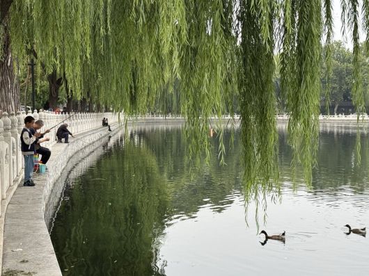 지난 9월25일 중국 베이징 스차하이공원 안 호수에서 시민들이 낚시를 즐기고 있다. 베이징/이정연 특파원