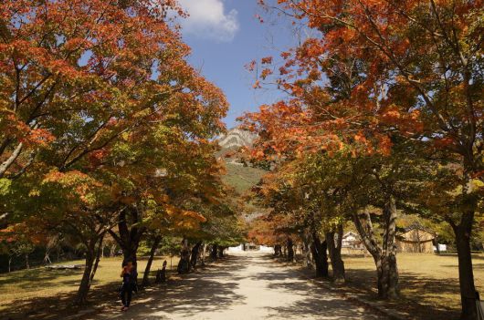 내소사 단풍길. 국립공원공단 제공