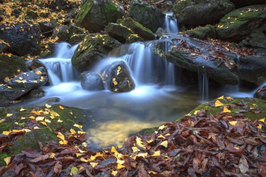 계룡산 수통골. 국립공원공단 제공