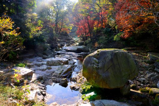 북한산 도봉계곡. 국립공원공단 제공