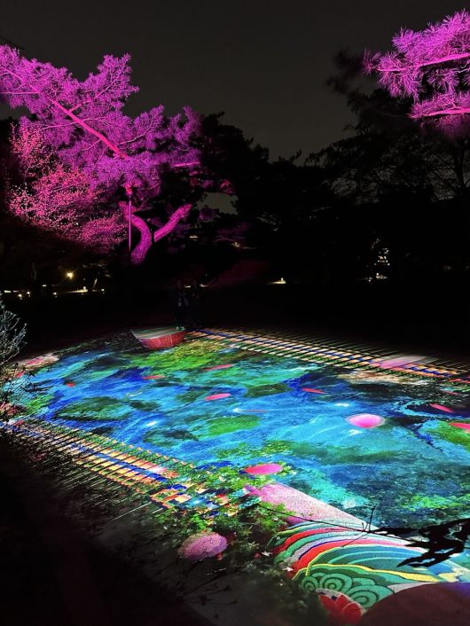 창경궁 제7경 홍화의 물빛 진출로1 전경. 국가유산청 제공