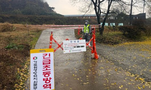 아프리카돼지열병 현장 사진. 충남도 제공