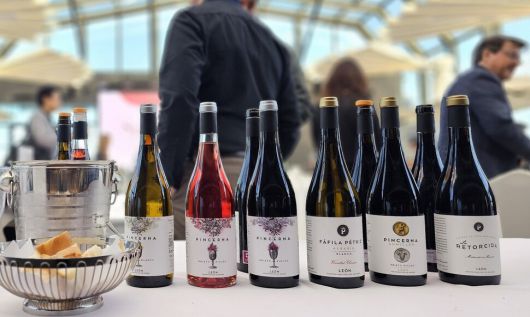 ‘테이스트 스페인 2025’ 행사장 풍경. 주한 스페인대사관 제공