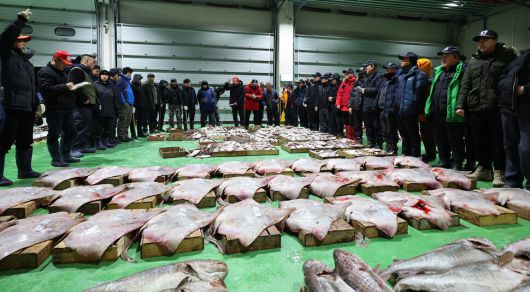 2일 오전 인천 중구 수협중앙회 인천공판장에서 새해 첫 경매(초매)가 진행되고 있다. 연합뉴스