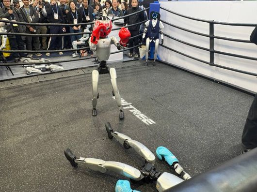 중국 유니트리의 로봇 ‘유니트리 지(G)1’가 권투를 하는 모습. 권효중 기자