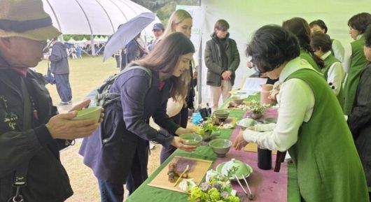 지난해 보성다향대축제에서 전남 보성을 찾은 외국인들이 말차 만들기 체험을 하고 있다. 전남 보성군 제공