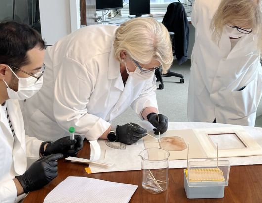 연구진이 2024년 4월 레오나르도 다빈치가 그렸을 것으로 추정되는 16세기 붉은 분필 그림 ‘성스러운 아기’에서 면봉으로 시료를 채취하고 있다. Marguerite Mangin/사이언스