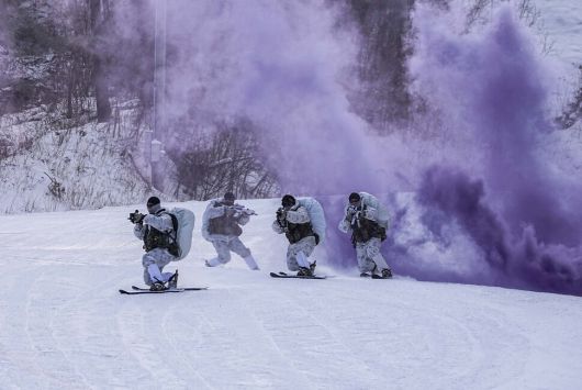 해병대 특수수색여단 장병들이 지난 14일 강원 평창군 황병산 일대에서 열린 2026년 동계 설한지 훈련에서 팀 단위 대형을 유지한 채 스키로 설상 기동을 실시하고 있다. 해병대사령부 제공