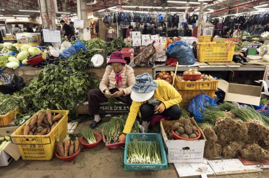제주 화산토에서 자란 무와 당근 등을 파는 할머니 상인들이 채소를 정리하고 있다. 최갑수 제공