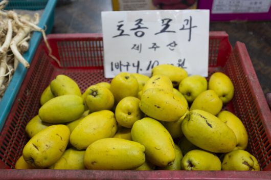 서귀포향토오일시장에서 파는 모과는 향이 근사하다. 최갑수 제공