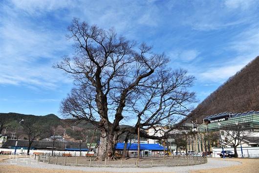 한국일보