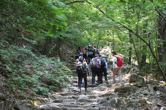 한국일보