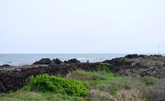 한국일보