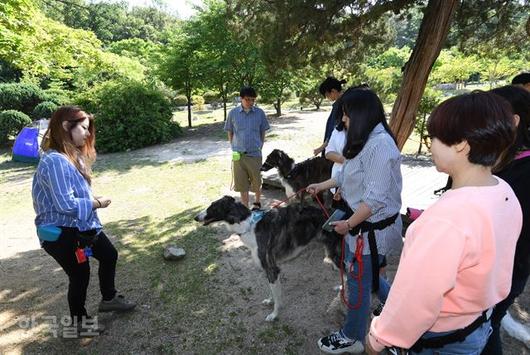 한국일보