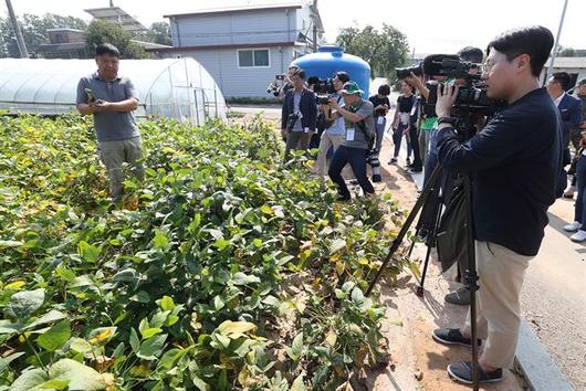 한국일보