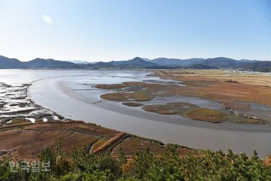 한국일보