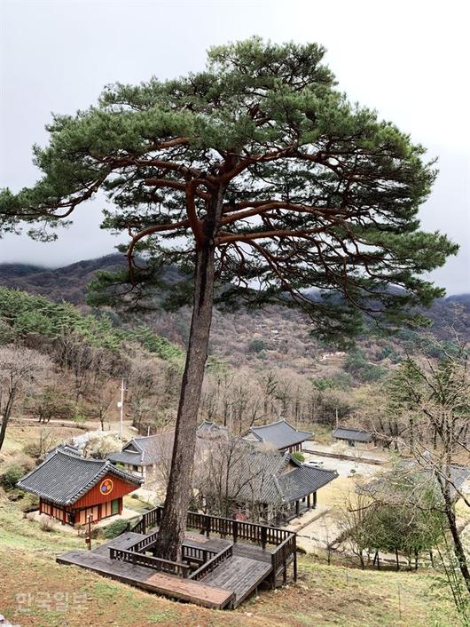 한국일보