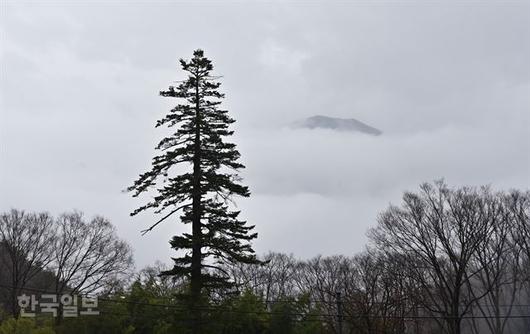 한국일보