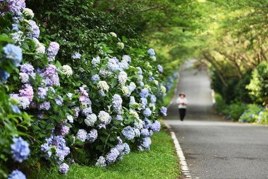 한국일보