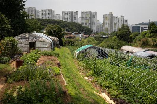 한국일보