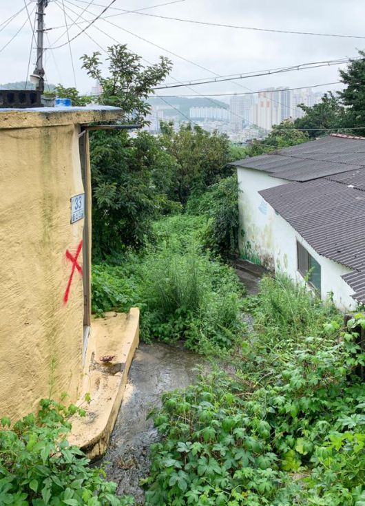 문현동 안동네 벽화마을. 김시덕 제공