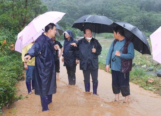 한국일보