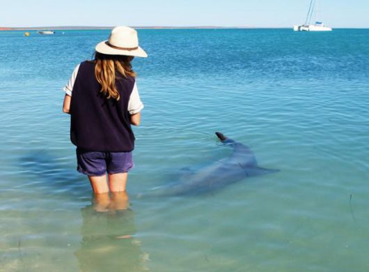 이래도 날 사랑해주지 않겠니? 지킴이 역시 돌고래의 몸짓처럼 좌우로 움직이며 애정을 확인한다. ⓒ강미승
