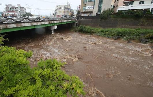 한국일보