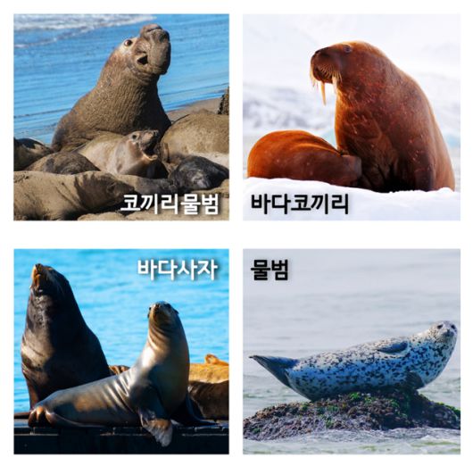 ⓒ게티이미지뱅크, 이상규