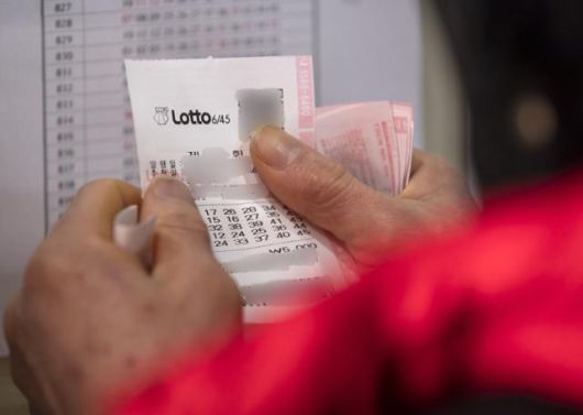 기사 내용과 관련 없는 동행복권 로또 구매자. 연합뉴스