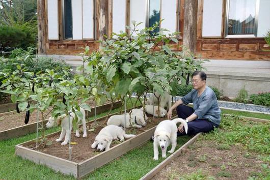 한국일보