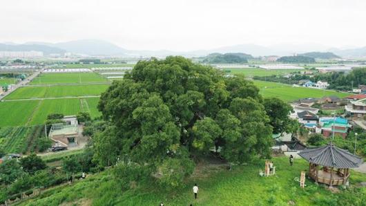 한국일보