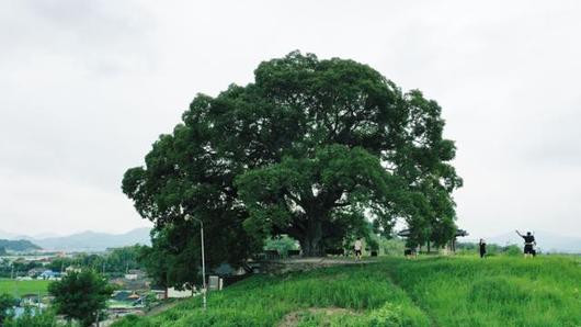 한국일보